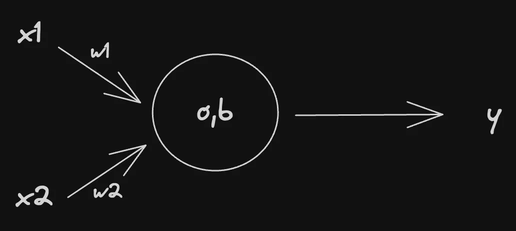 Two Input Perceptron